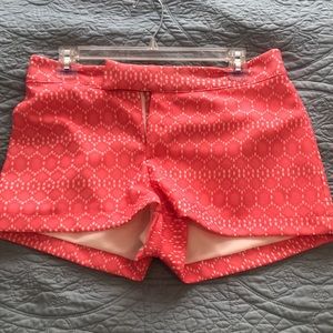 Super cute shorts! Never worn!!
